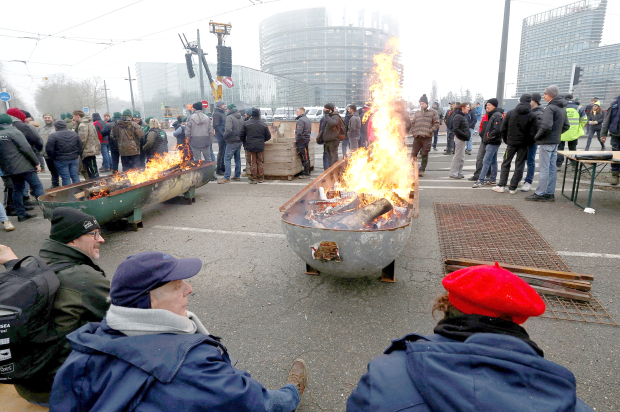 EU-Mercosur deal ‘could take effect provisionally from March’